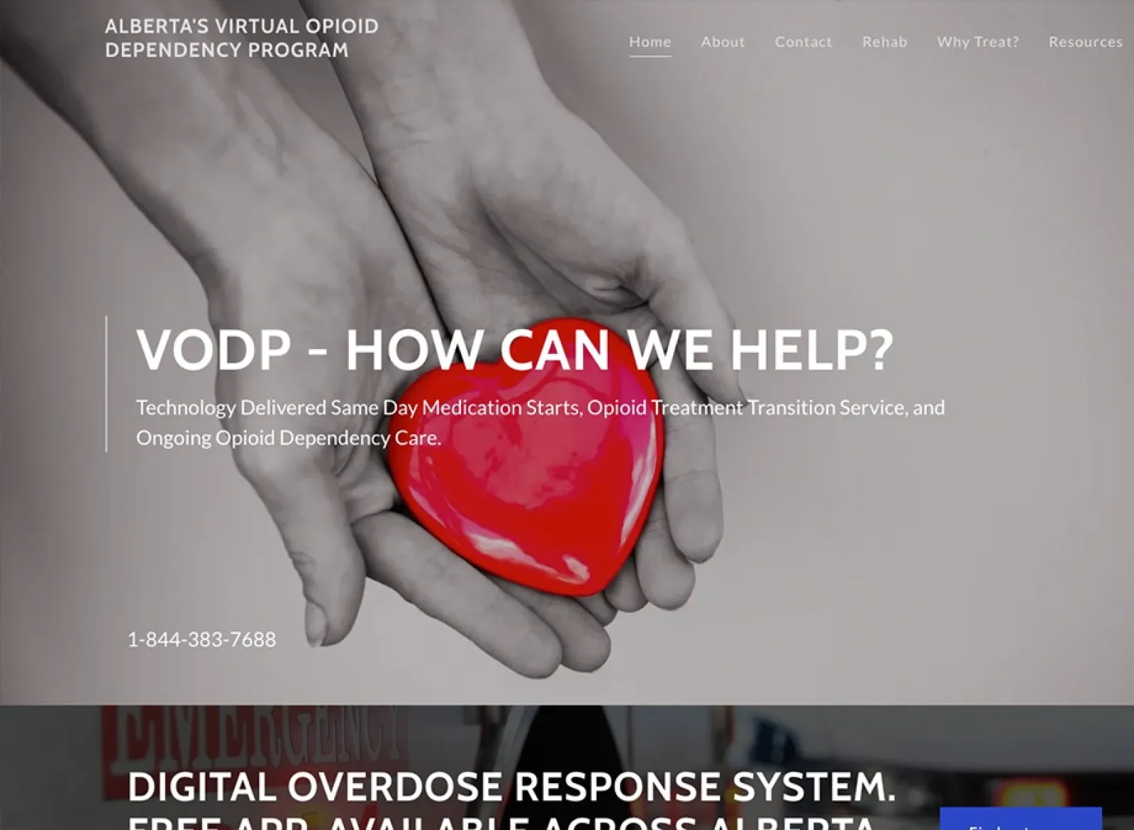 Alberta s Virtual Opioid Dependency Program